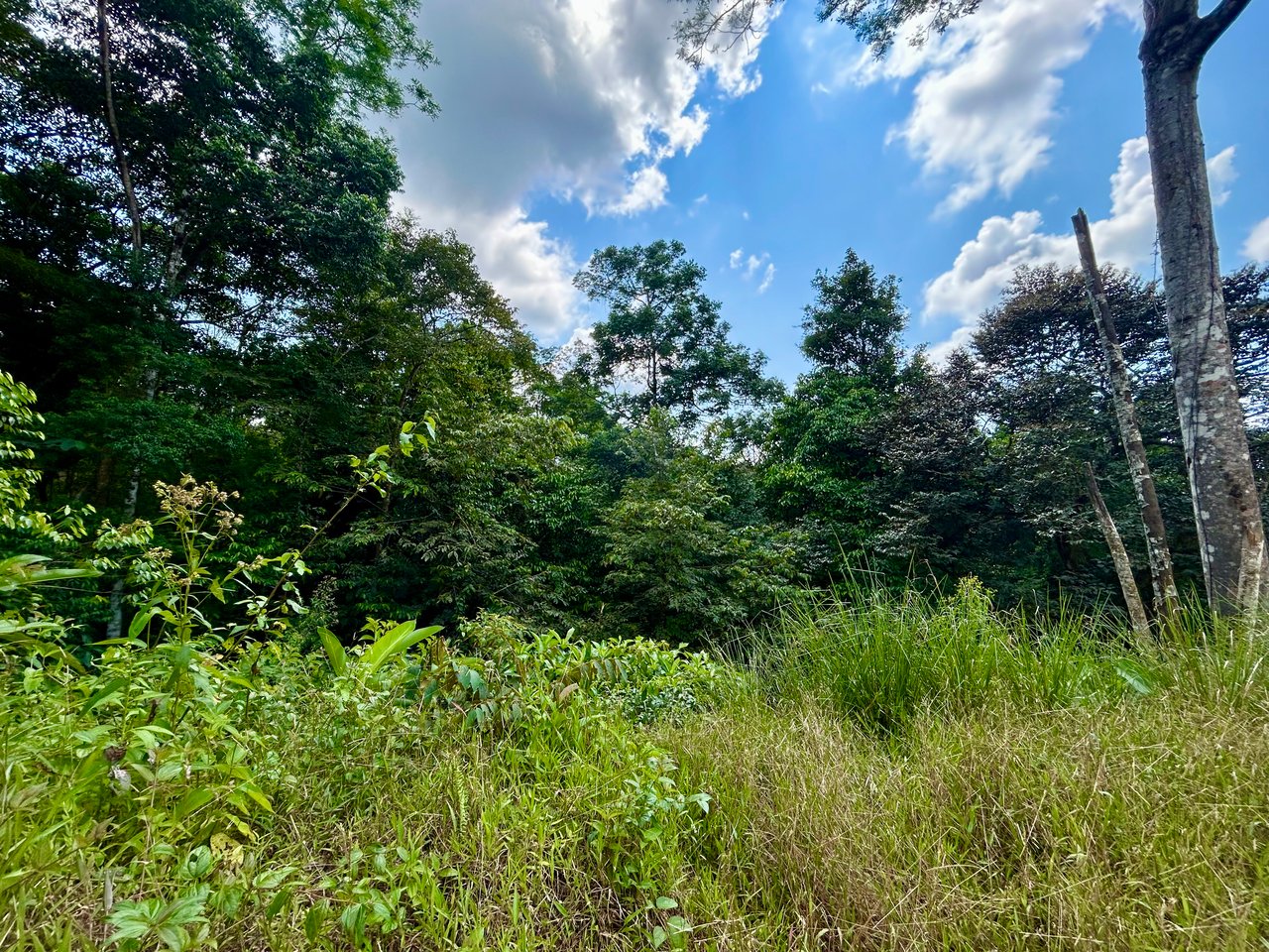 Beautiful Lot in Phase 9 Ojochal, Gated Communuity 