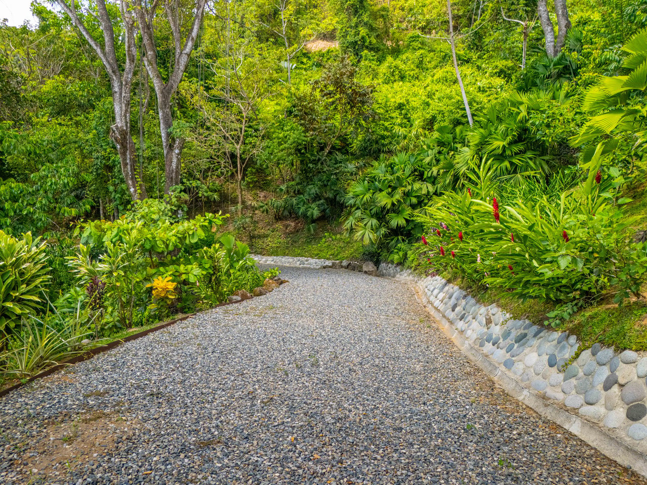 Ocean View, Privacy Galore! 9.18-Acre Retreat in Tres Rios/San Buenas, with 2 Extra building Plantels 