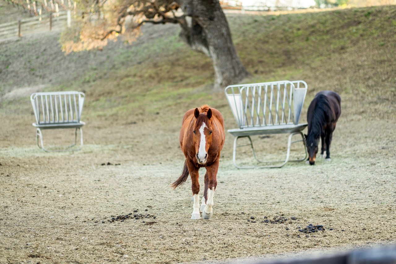 5+/- Acre Los Olivos Retreat