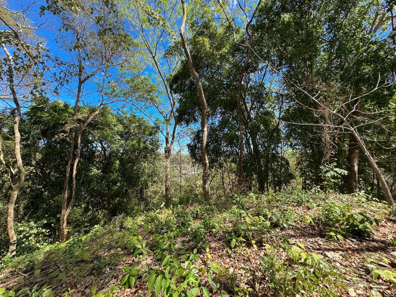Refined Ocean View Development Parcel, Santa Teresa, Puntarenas