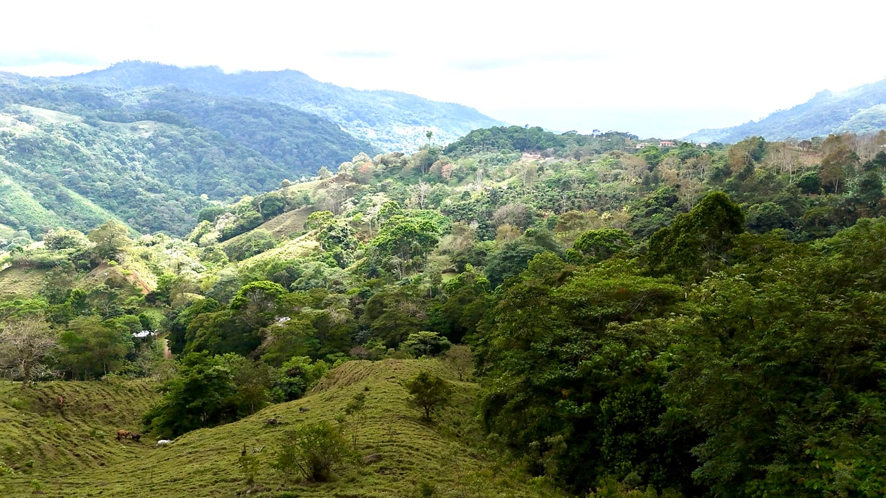 Gorgeous Land in San Luis Morete - Uvita - Over 17 Acres