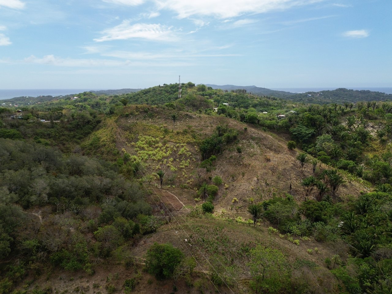 24 Acres located in Six Huts, Milton Bight