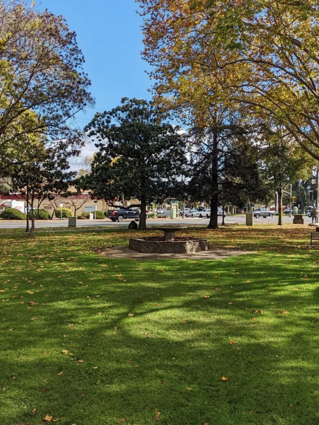 Beautiful fall day at La Plaza Park in Cotati with trees and open green space
