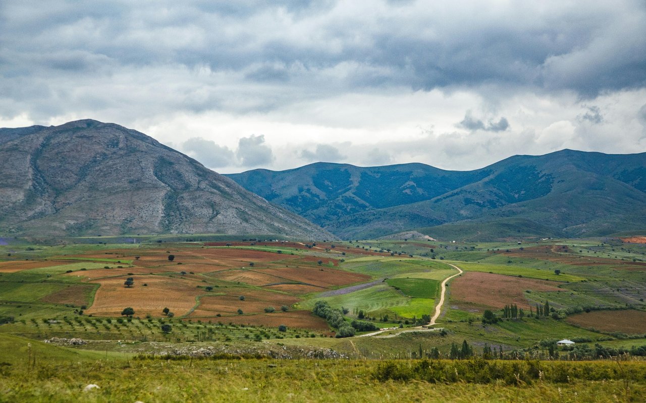Curti Ranch