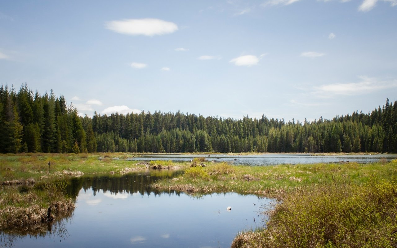Bull Valley