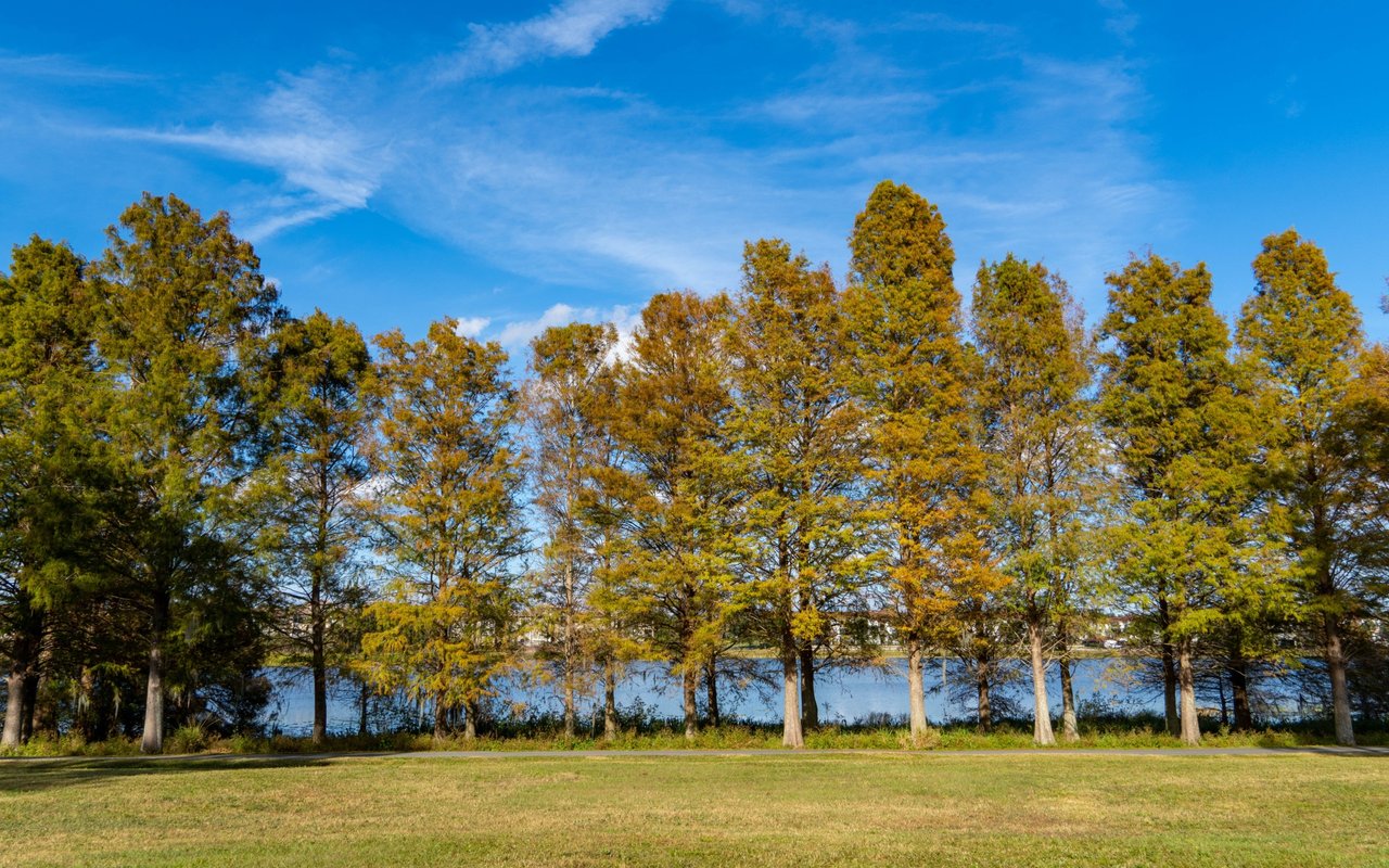 Autumn trees line a lakeside park beneath a bright blue sky.