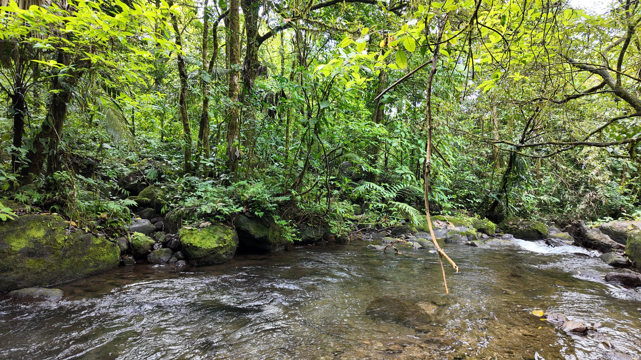 10.5 Hectares Rio Celeste - Nature Lover's Dream - Bijagua 