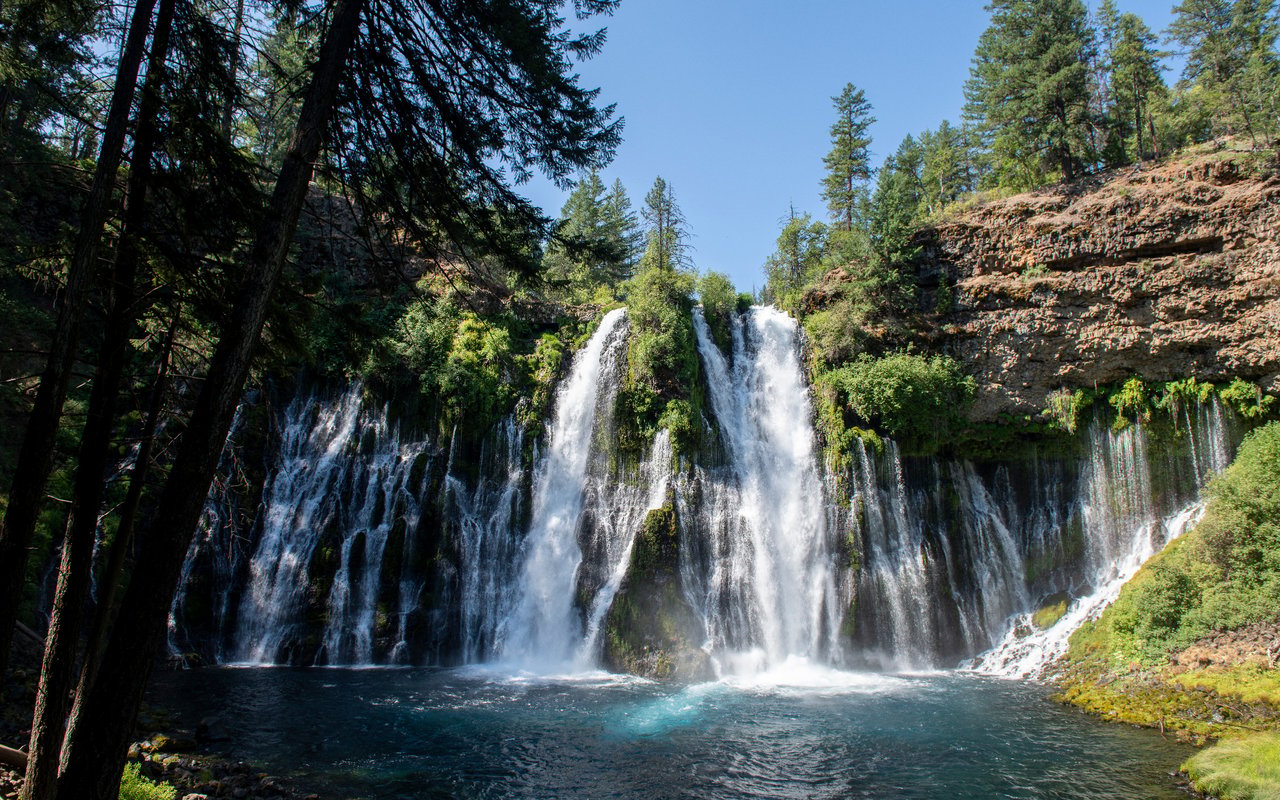 Forest Falls