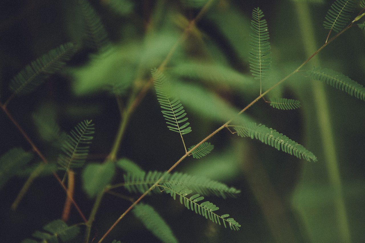  Punta Sabana & Mar Serena