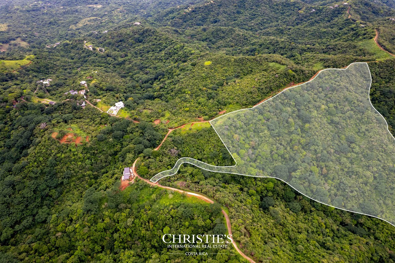 Finca El Toledo – A Signature Property for Visionary Development