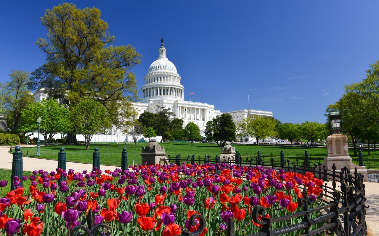 Capitol Hill