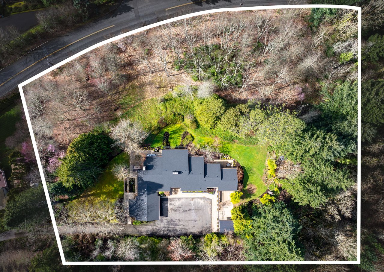 Now Available - Mid-Century Modern Oasis 