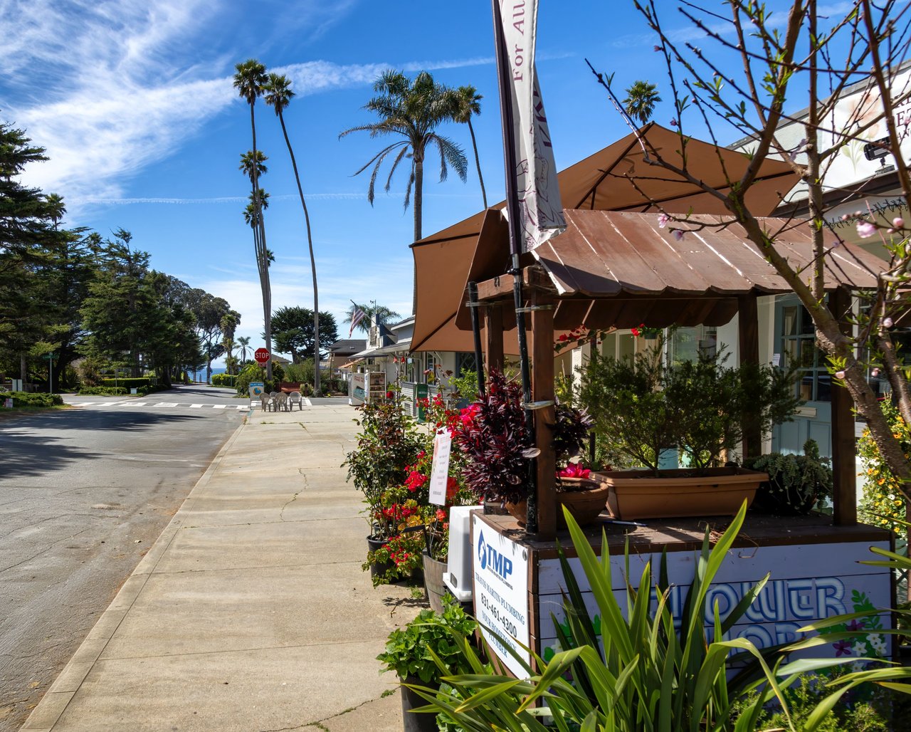 Honey Hill - 365 Race Horse Ln