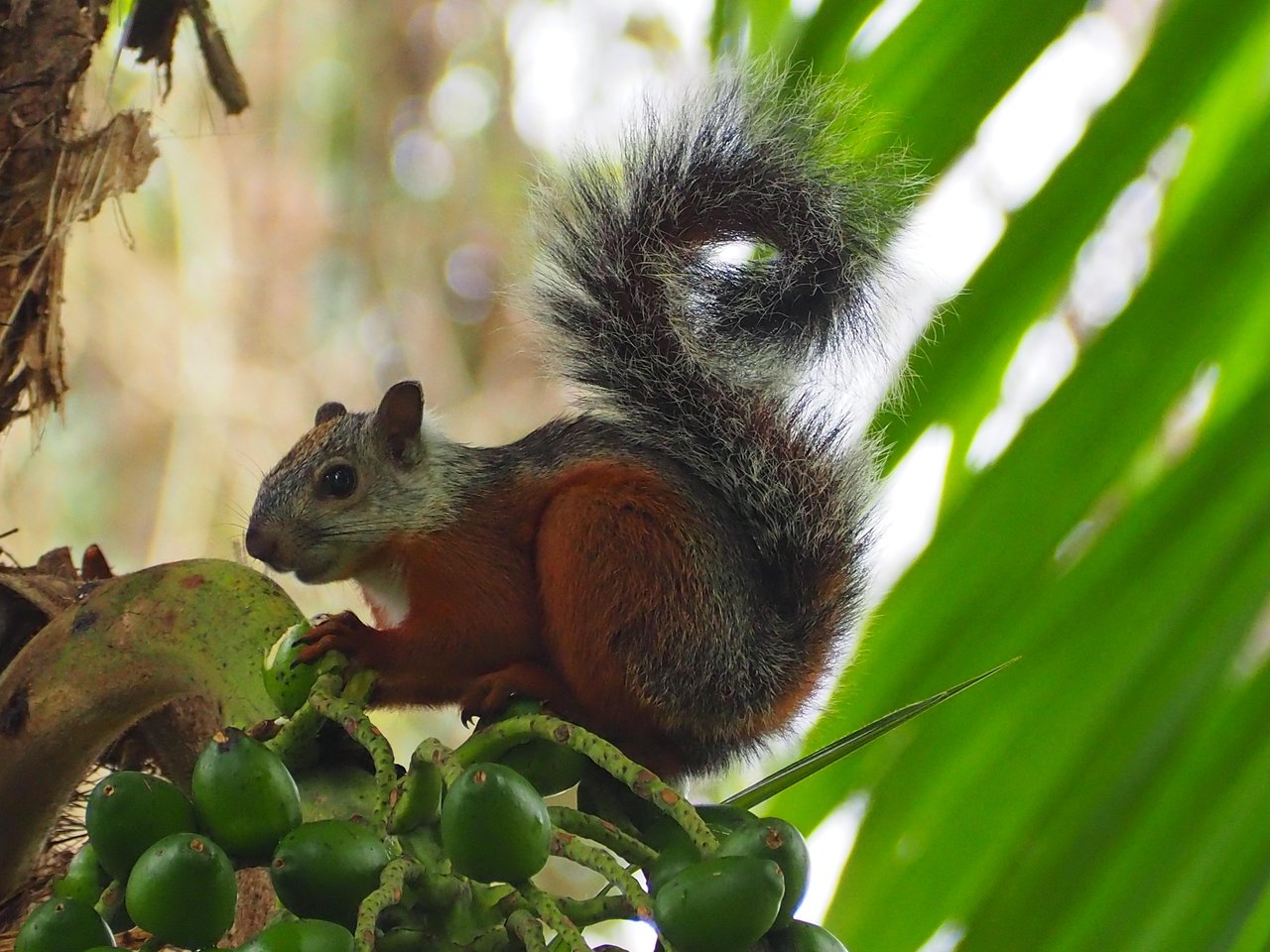 Eco Property Media Luna