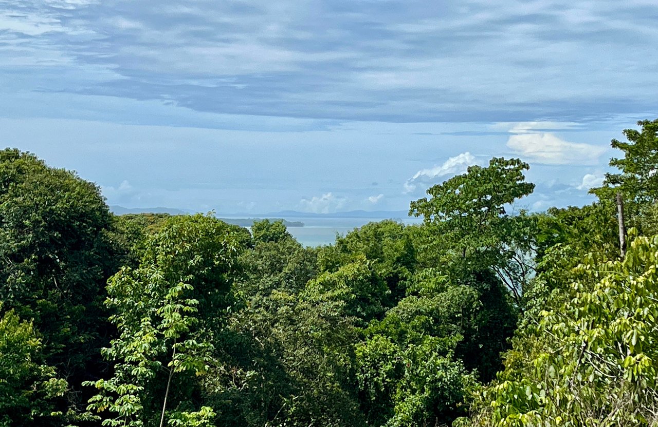 VILLA TURQUESA, MAJESTIC OASIS WITH EXTRA BUILDING SITE, CLOSE TO THE BEACH & WILDLIFE 