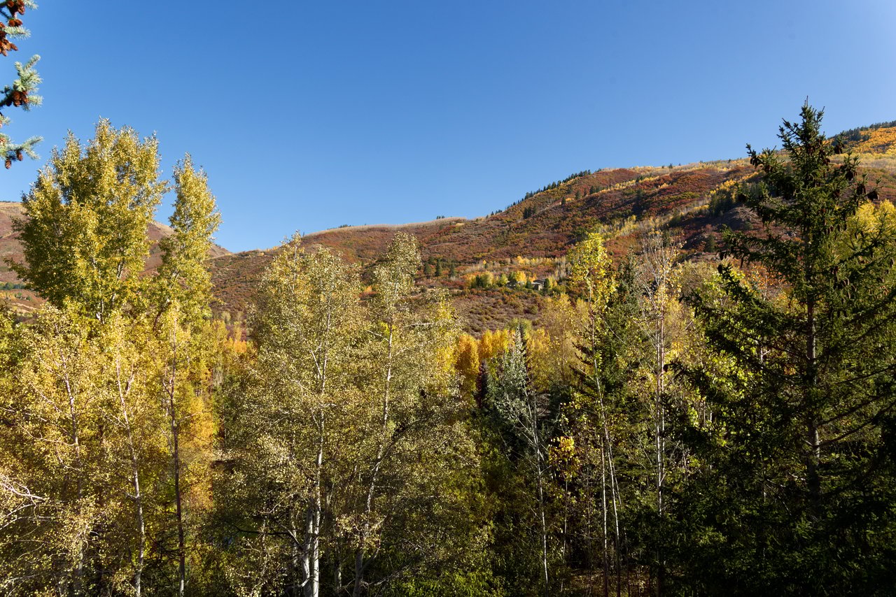 Conveniently Located Midland Ave Home