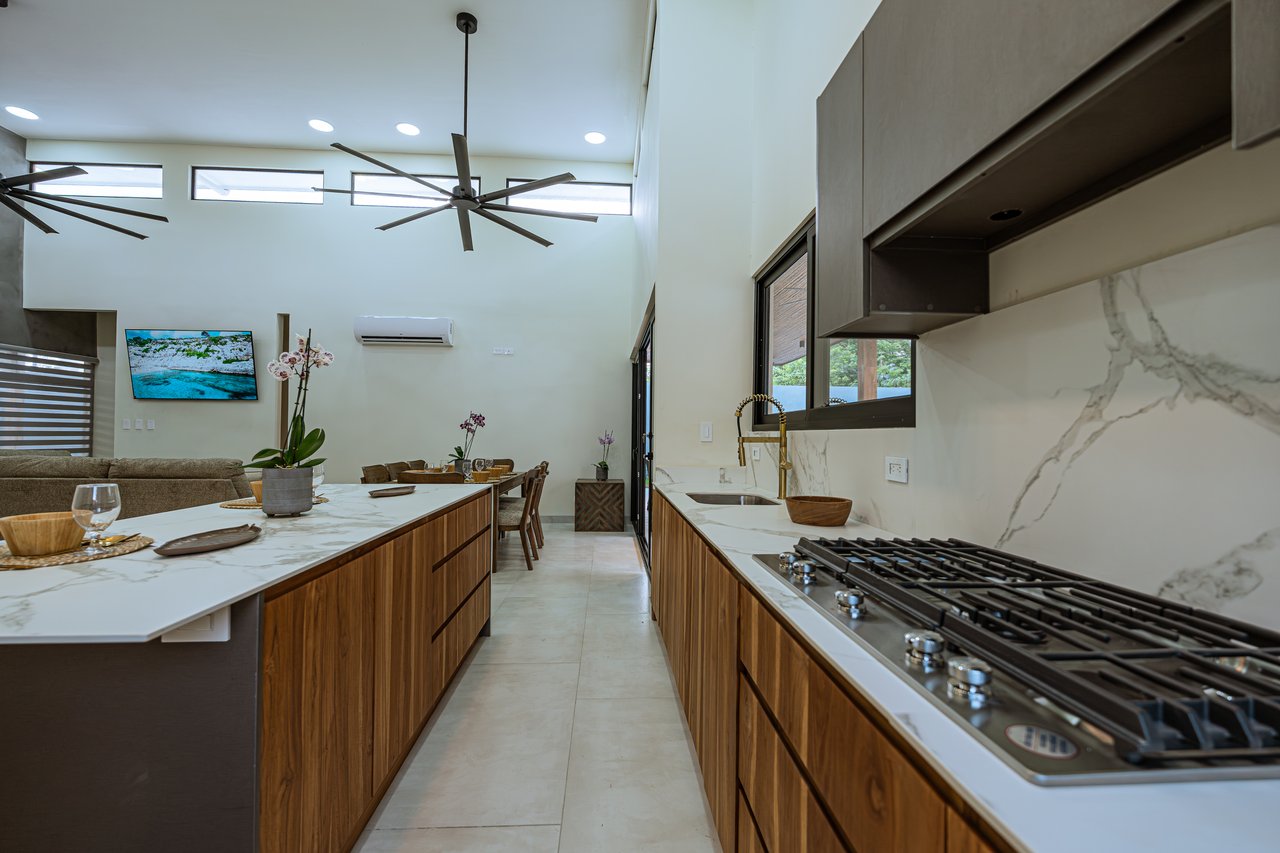 Tropical Modern Villa — New Construction 2025