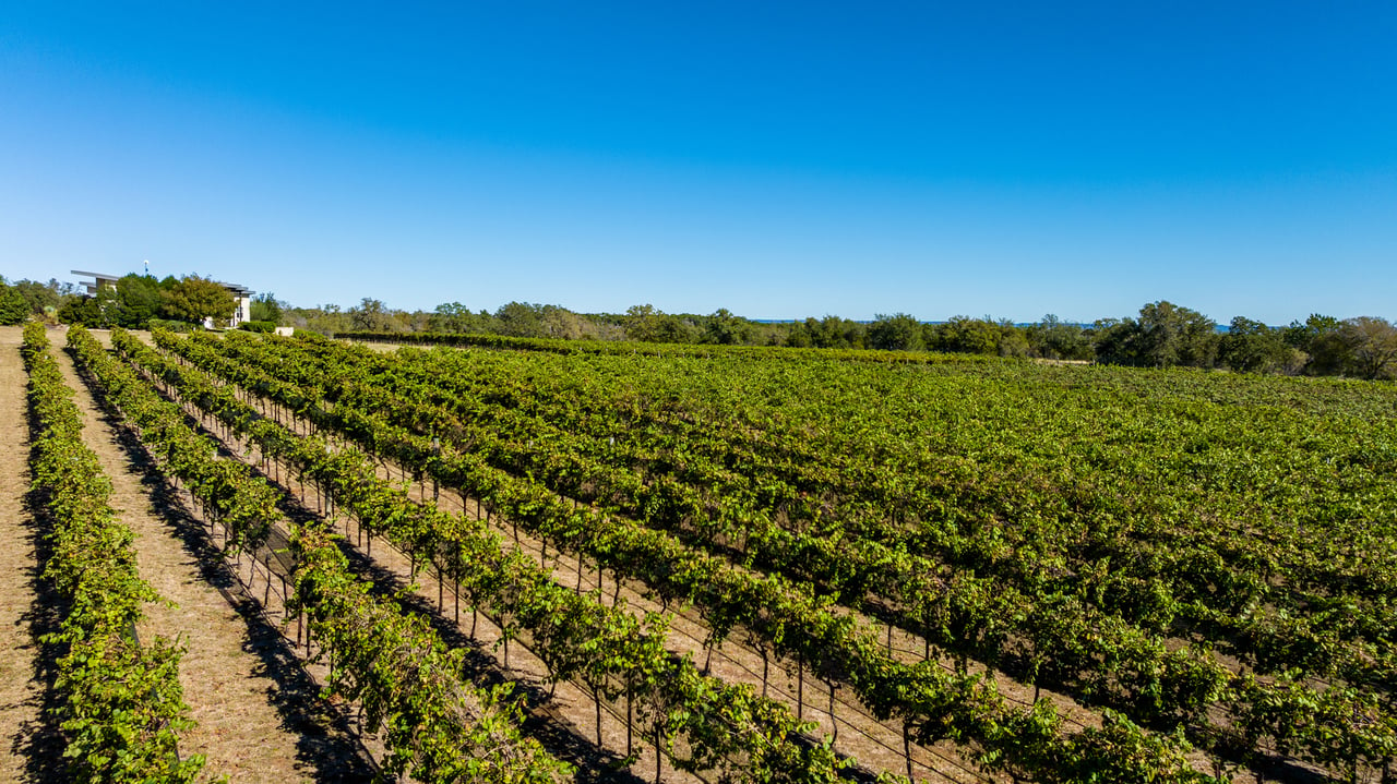 Round Mountain Vineyard