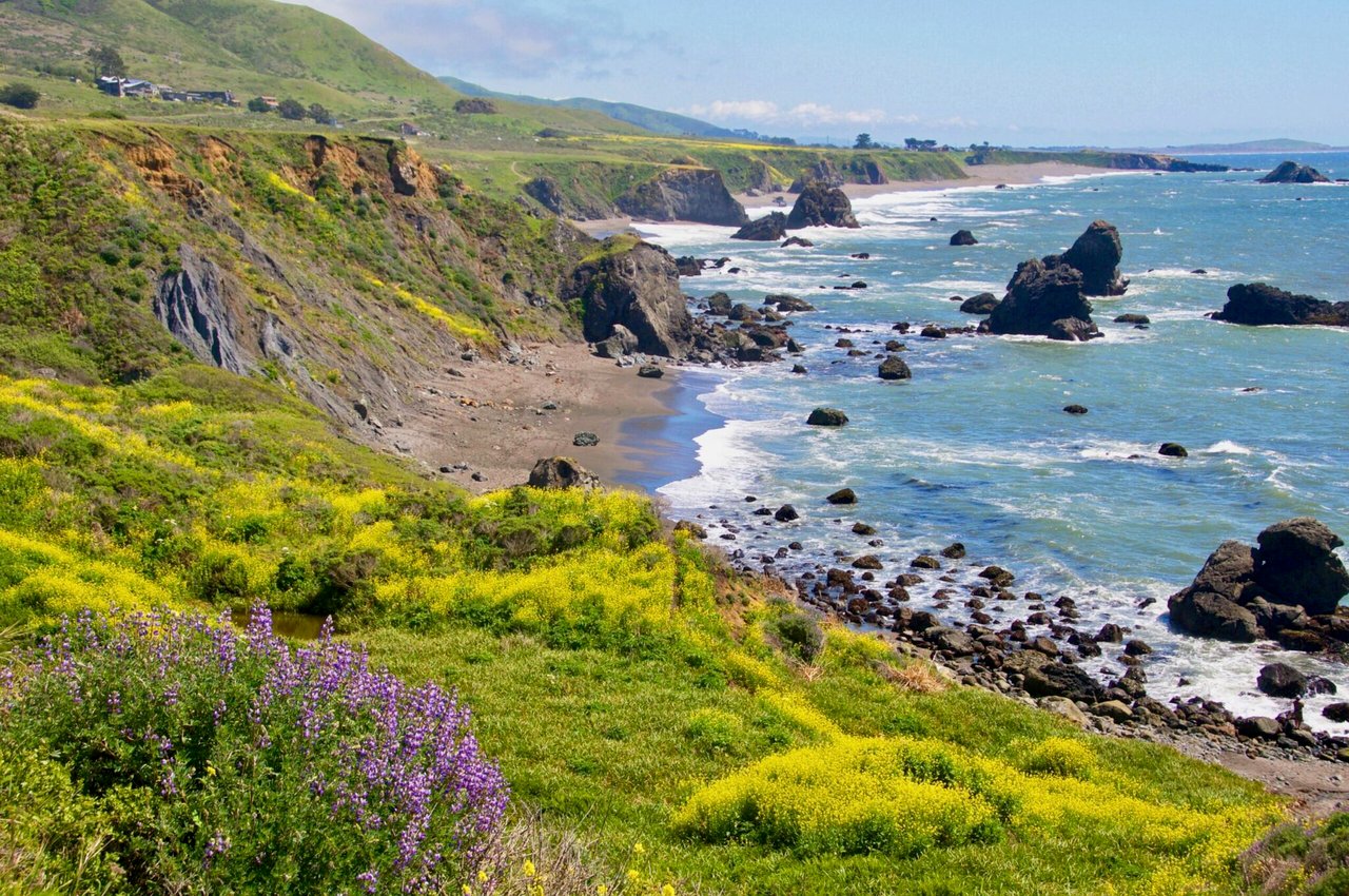 Best Sonoma County Beaches: From the Russian River to the Pacific Coast