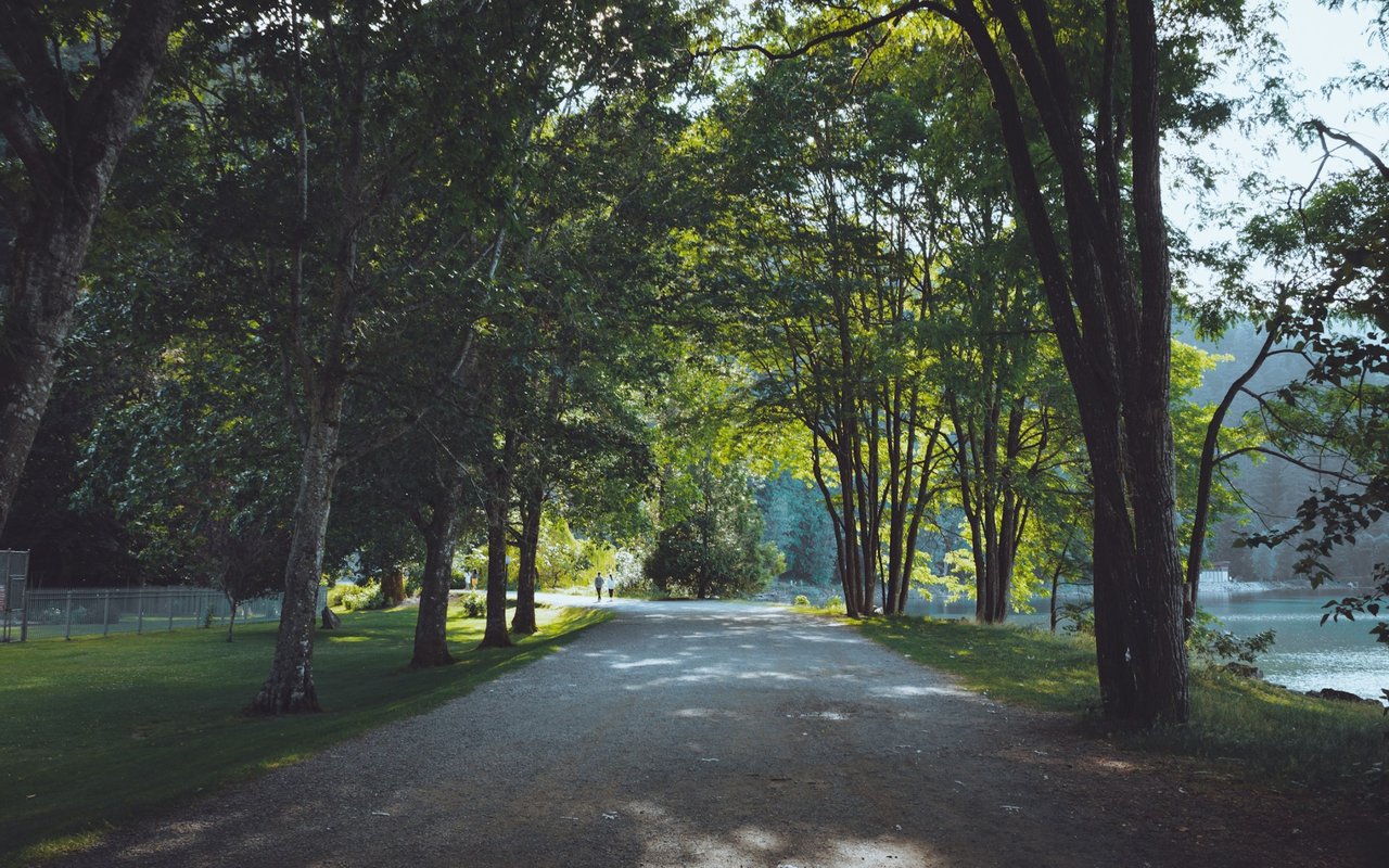 Shaded gravel path beneath mature trees beside a lake.