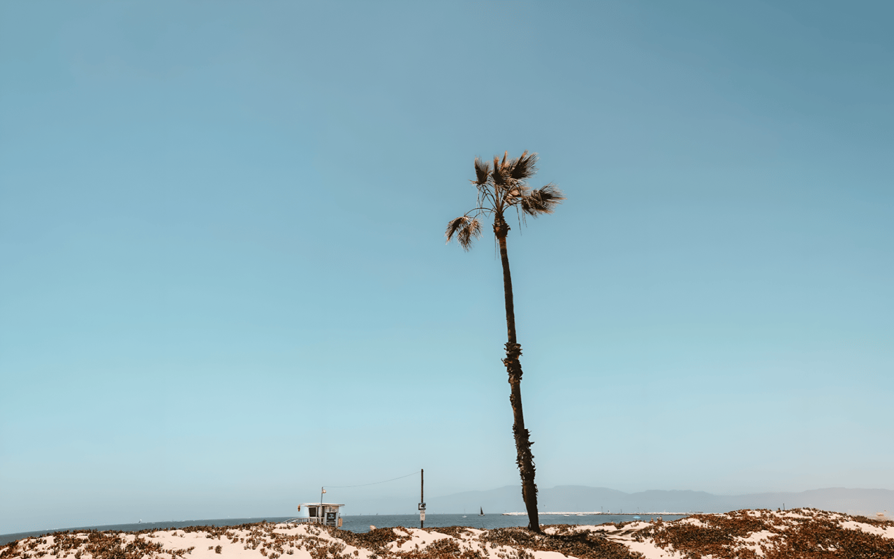 4 Historical Facts You Didn't Know About Playa del Rey