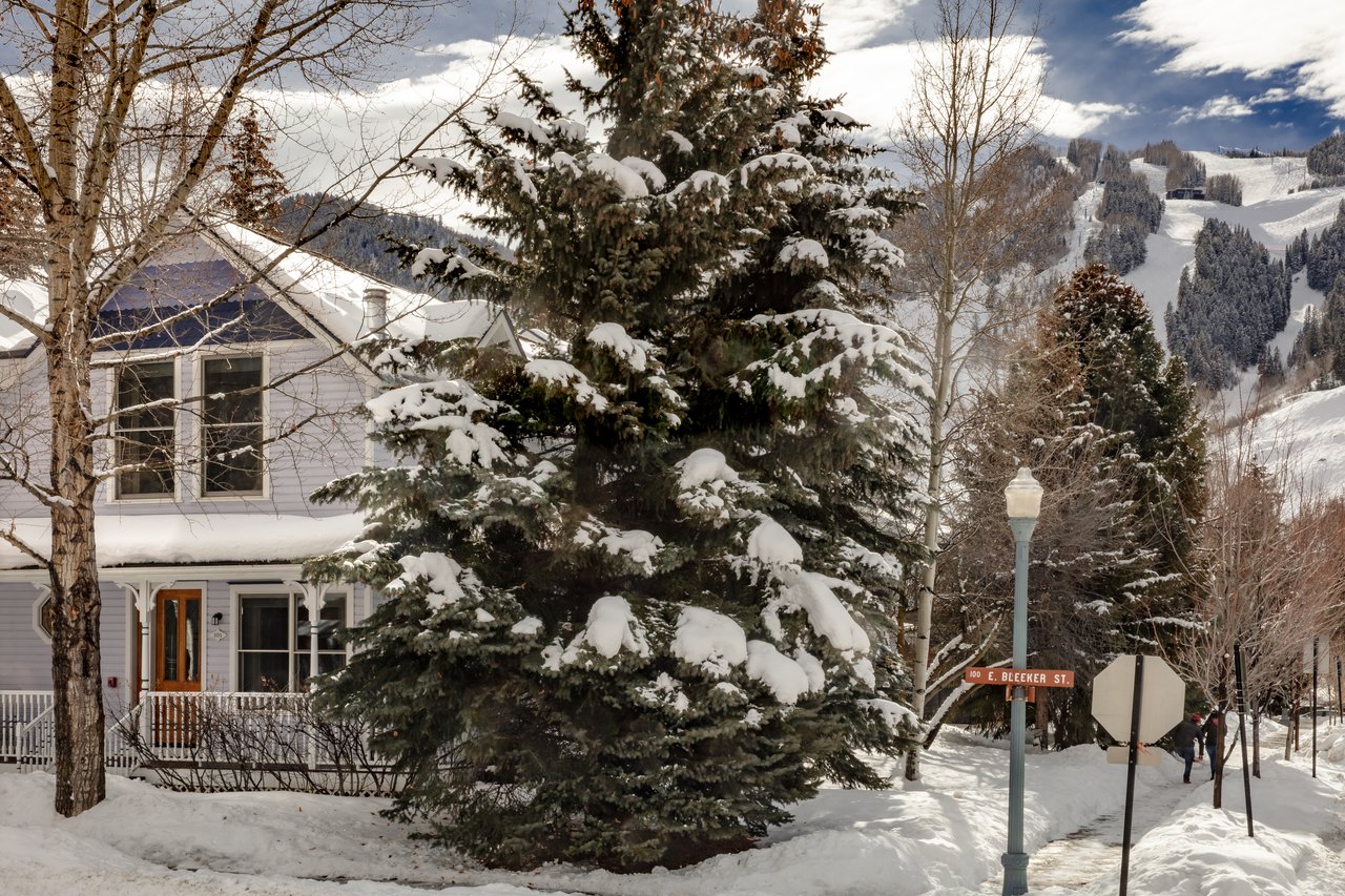 Charming Victorian Townhome