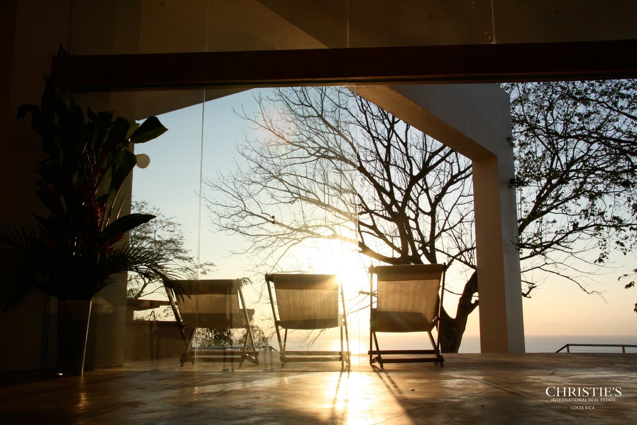 Jungle and Ocean Architectural Masterpiece