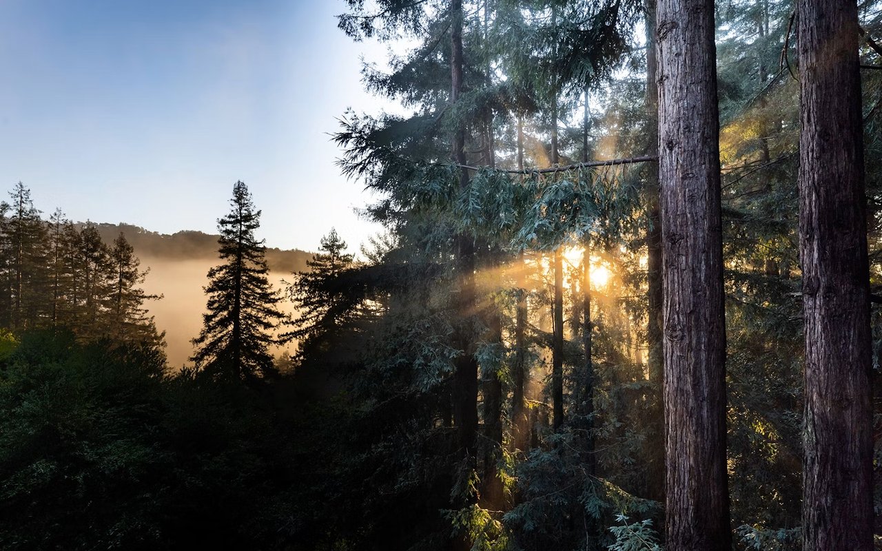 Outdoor Living in Marin: Designing for Views, Weather and Lifestyle