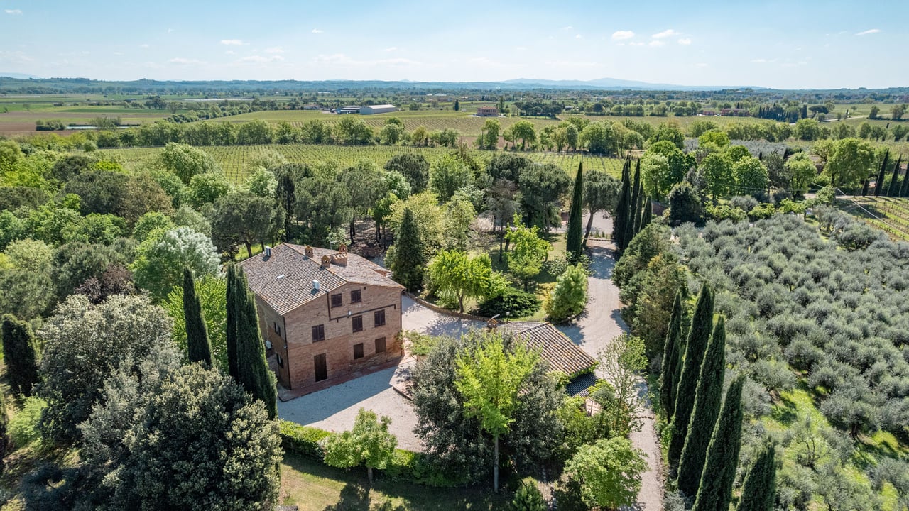 LA VIGNA ANTICA
