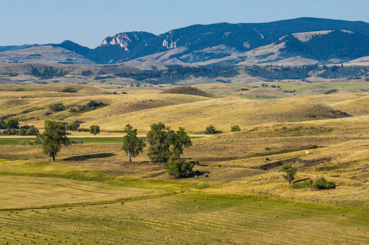 Hayfields beneath the bighorn mountains near Sheridan, Wyoming.