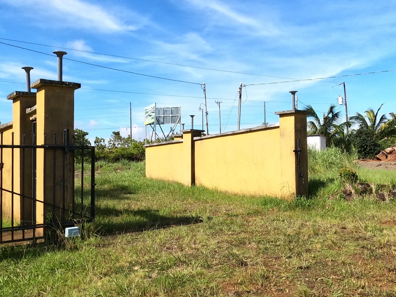 Serenity Ranch Avocado Farm | Countryside Agricultural Land For Sale in La Cruz