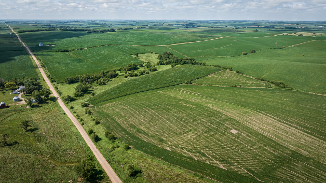 +/- 80 Acres E1/2 SE1/4 13-20-3 Adams Township, Colfax County, Nebraska