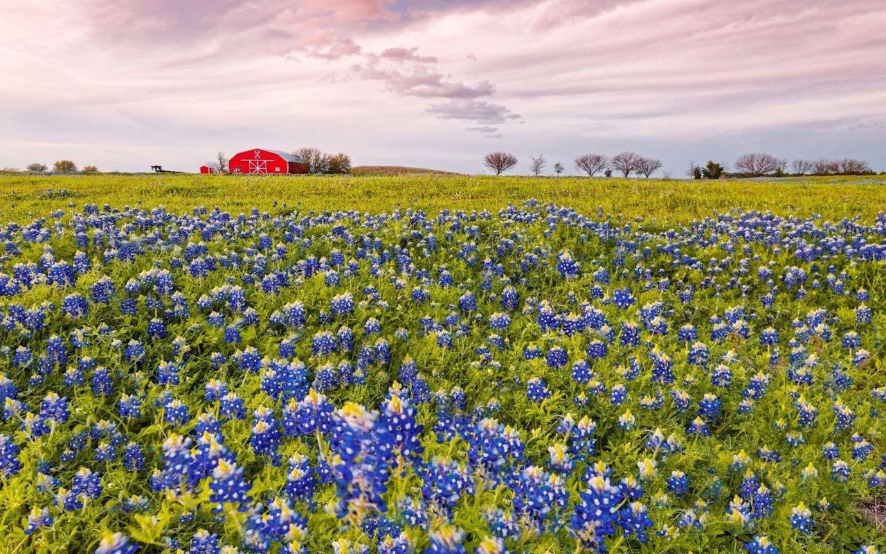 Brazos County