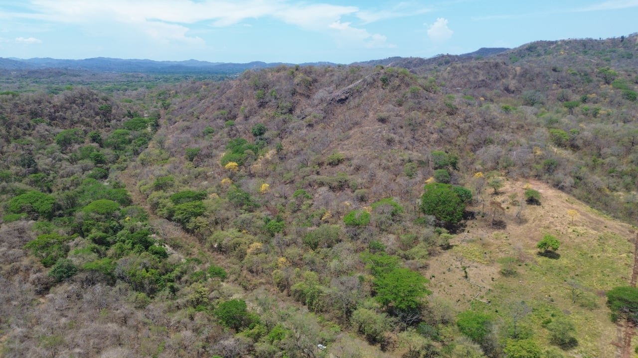 10 HECTARES DEVELOPMENT OPPORTUNITY - PUERTO VIEJO CONCHAL