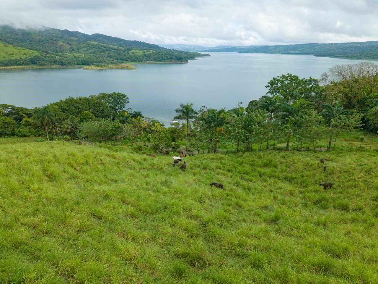 Rio Chiquito Ranch & Villas | 143-Hectare Ranch Estate with Villas, Forest & Full Infrastructure in Tilarán, Costa Rica