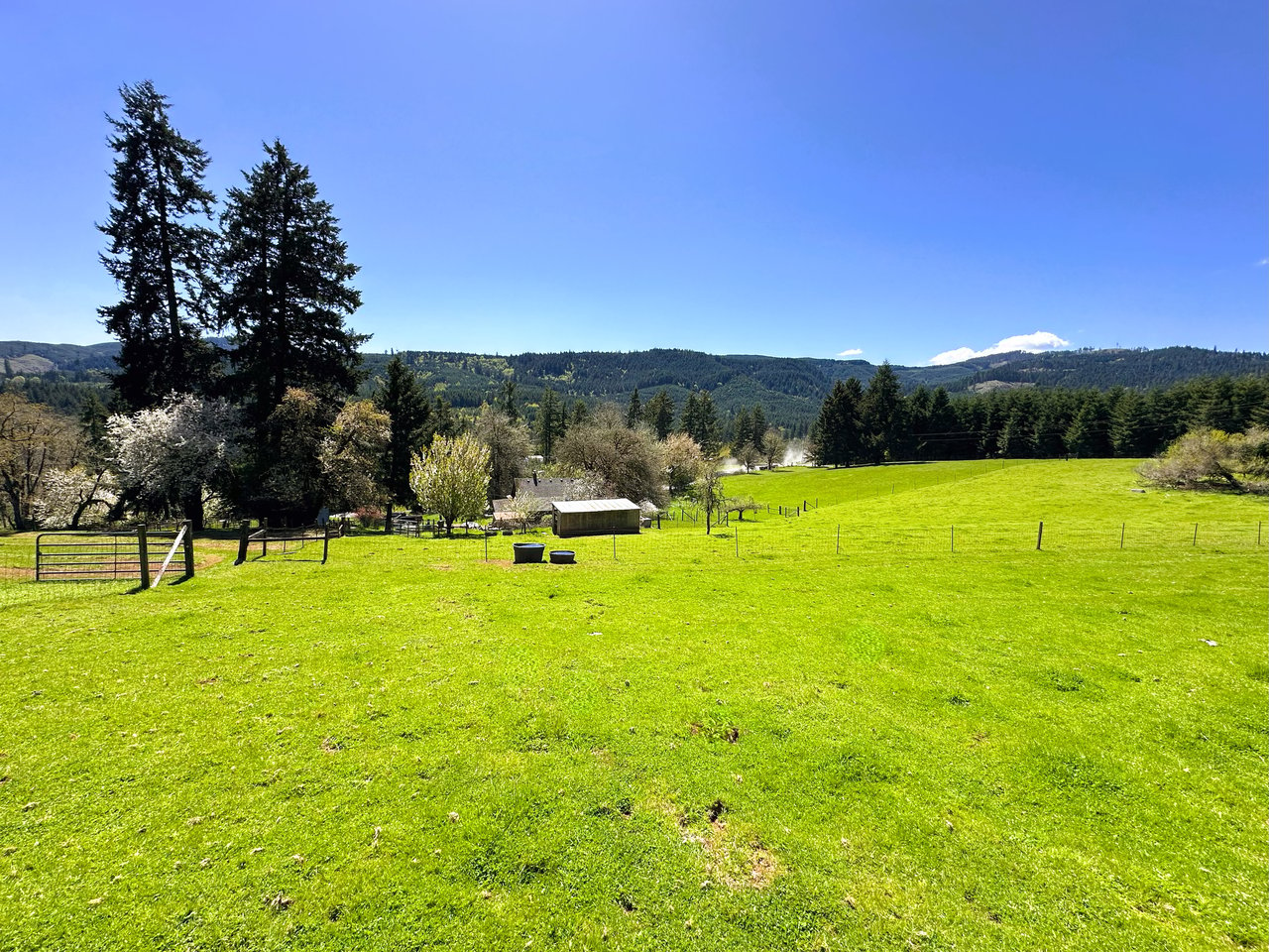 Panther Creek Homestead