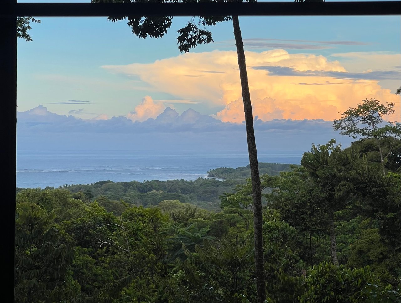 1.7 Acres Ocean View Lot with Producing Cabin in Uvita