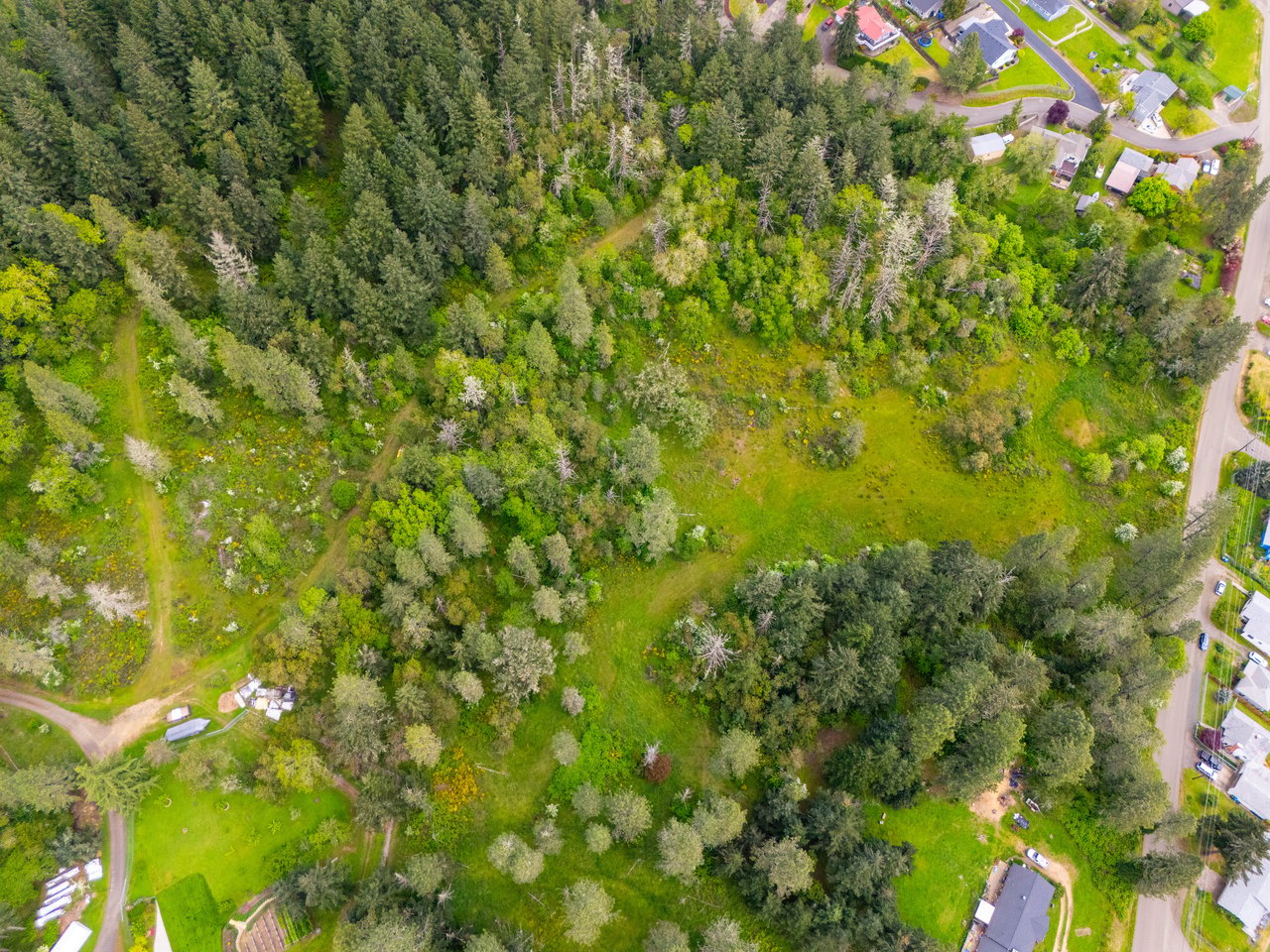 SUTHERLIN WOODLOTS