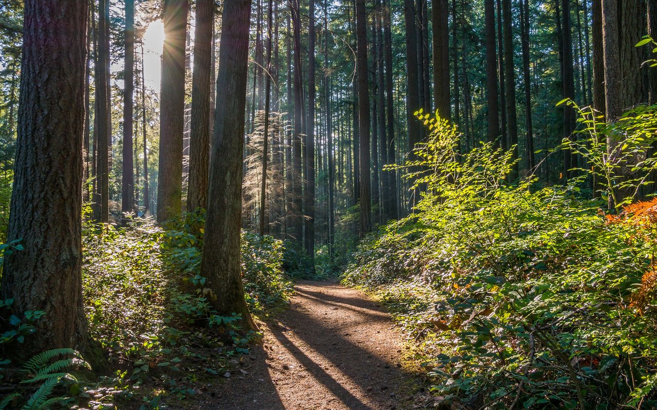 Bridle Trails