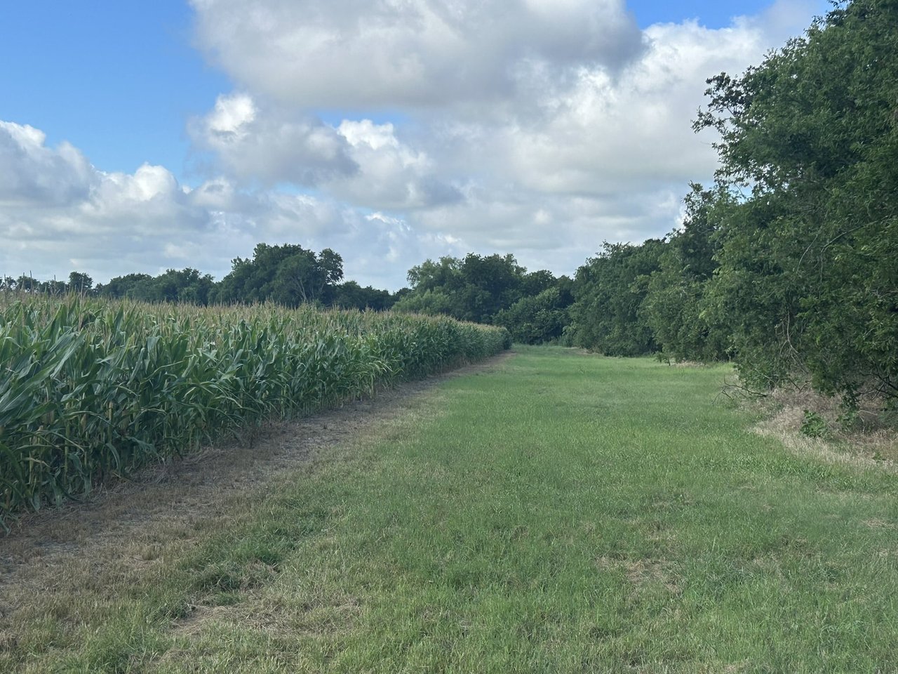 25 Acres in Temple, Tx