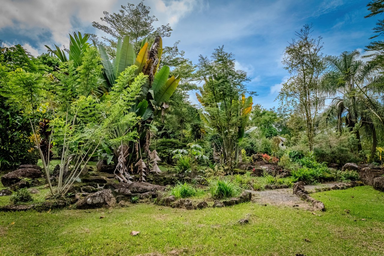 Modern 4BR Homestead with Creek & Food Forest | In-Demand Opportunity