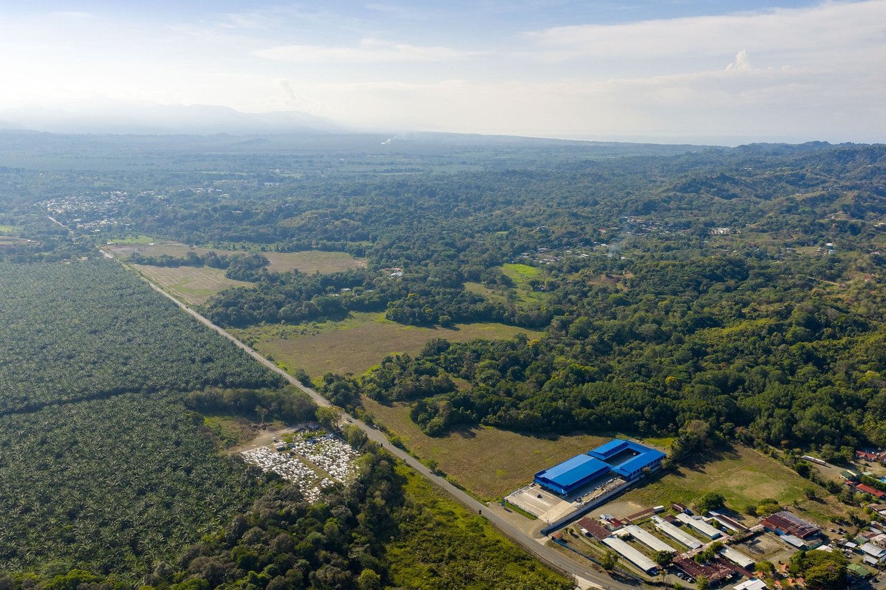 Flat Commercial Development Lot, Manuel Antonio, Puntarenas