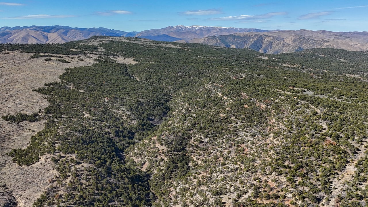 1 W Elk Meadows