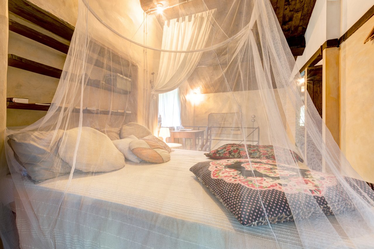 LA TANA DEL FAUNO