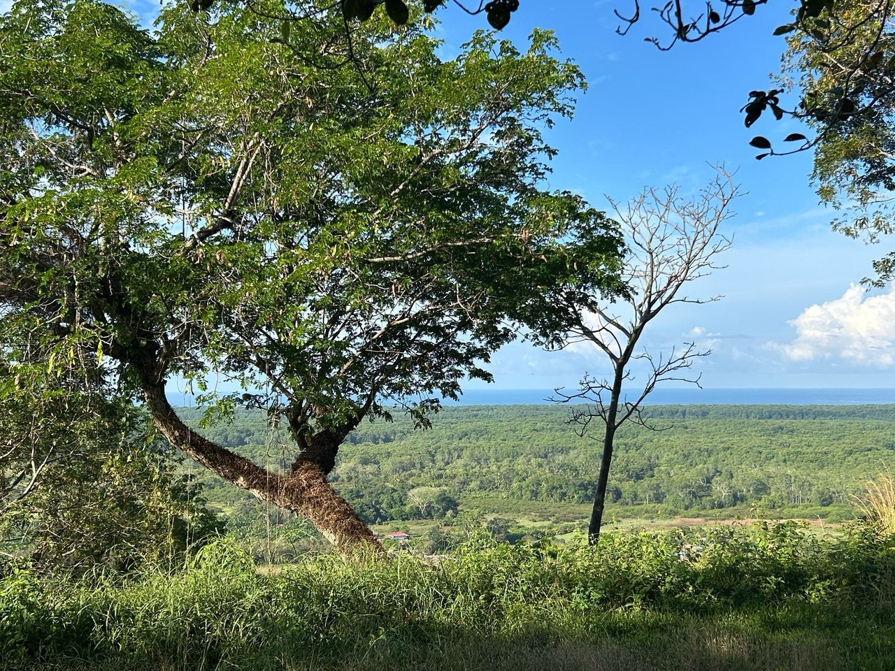 Private 13-Acre Property with Ocean and Mountain Views in San Buenas
