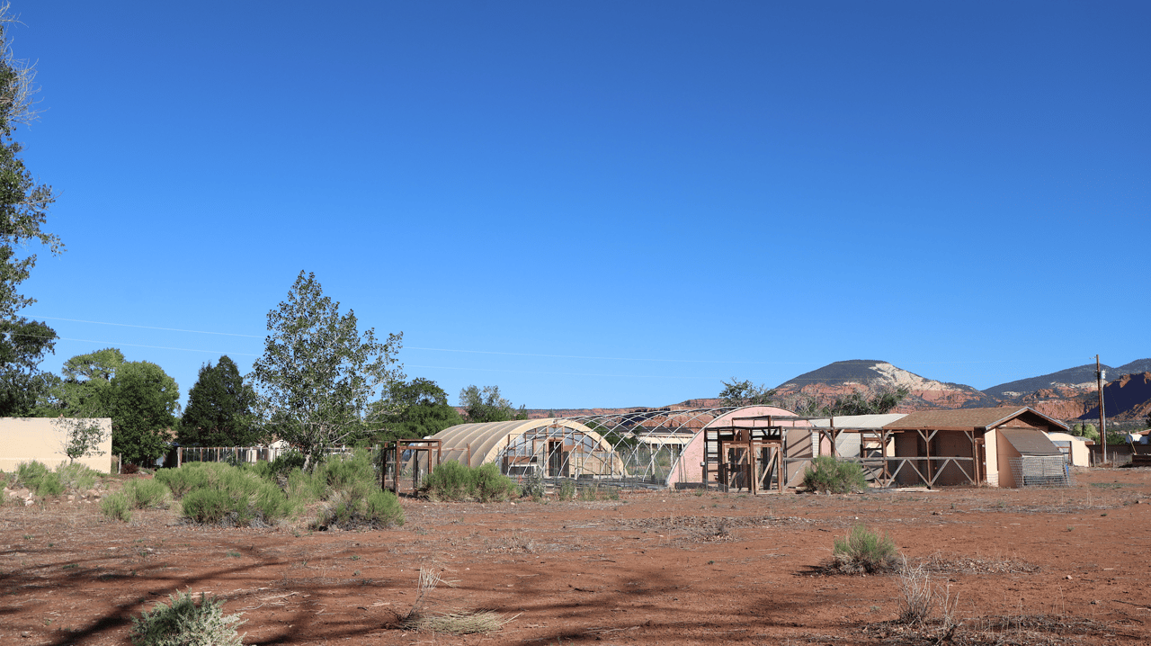 Torrey Land & Greenhouses