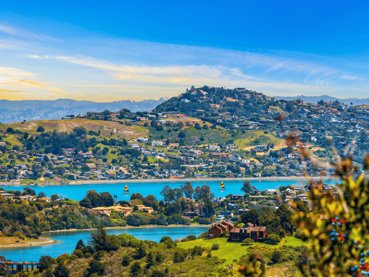 Buying Your First Home in Marin County
