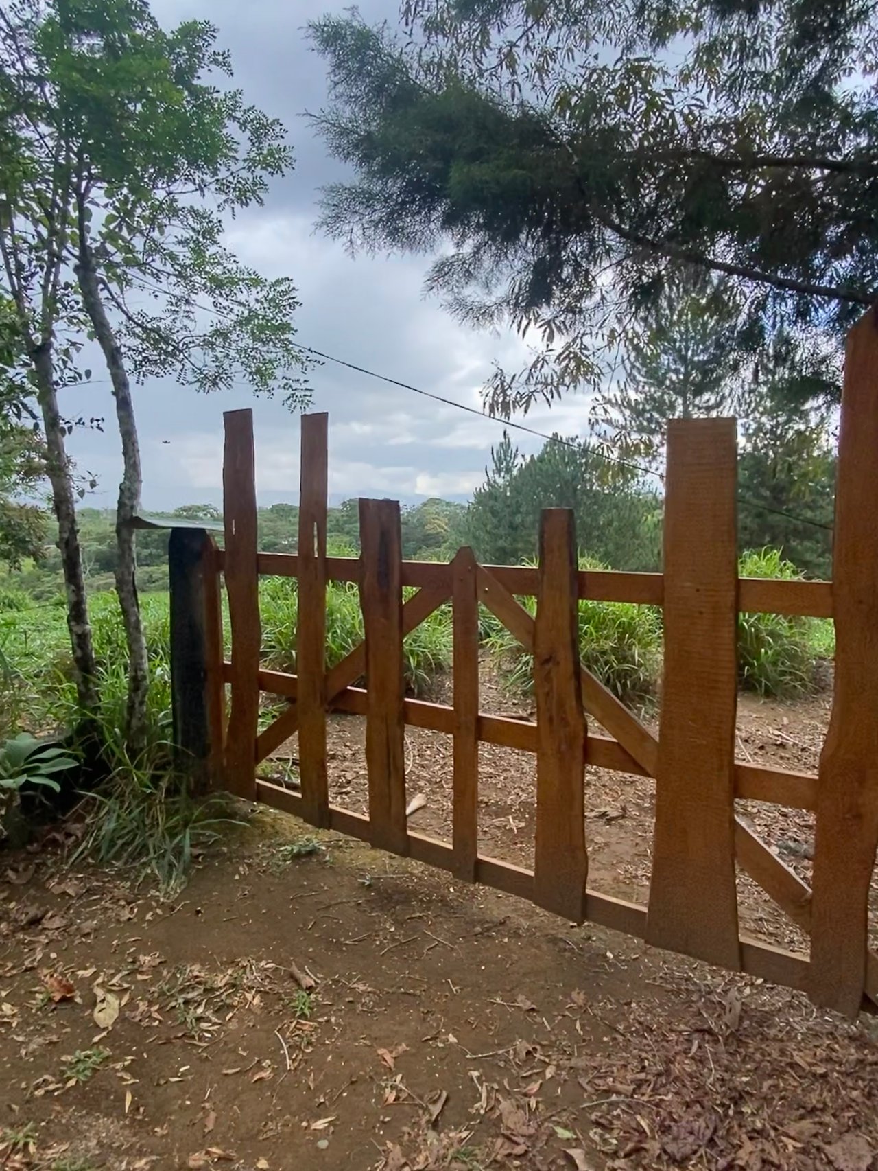 54 Acre Ranch in San Vito, Coto Brus