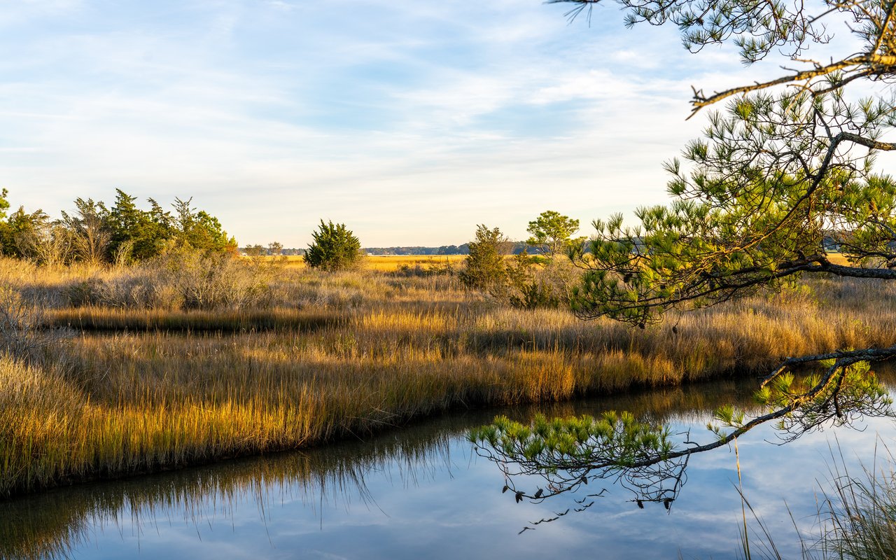 Middle Plantation