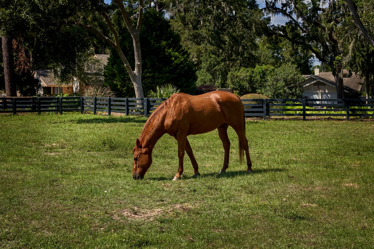 Moss Creek 